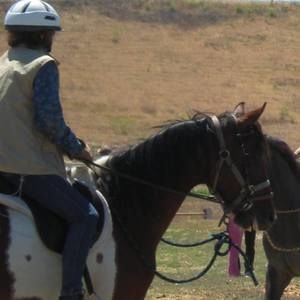 Meet your Posher, Karen